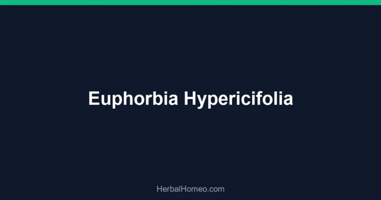 Euphorbia Hypericifolia