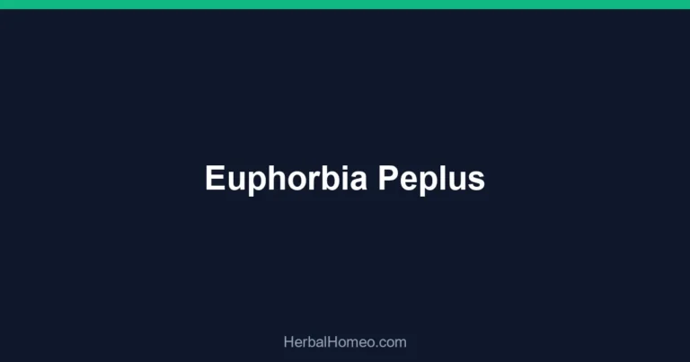 Euphorbia Peplus