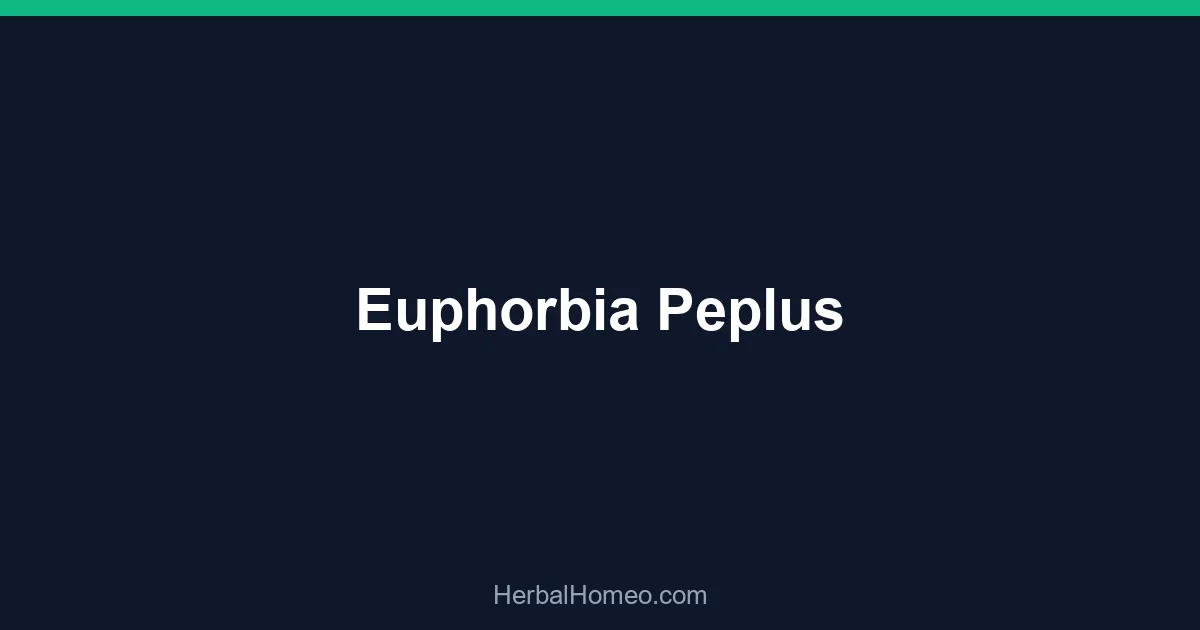 Euphorbia Peplus
