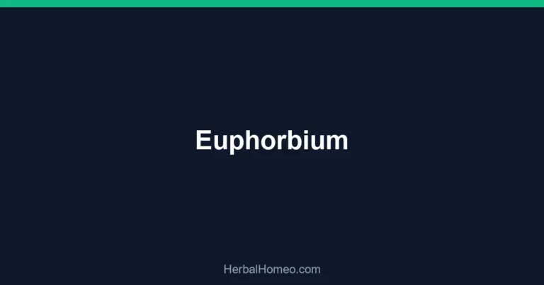 Euphorbium