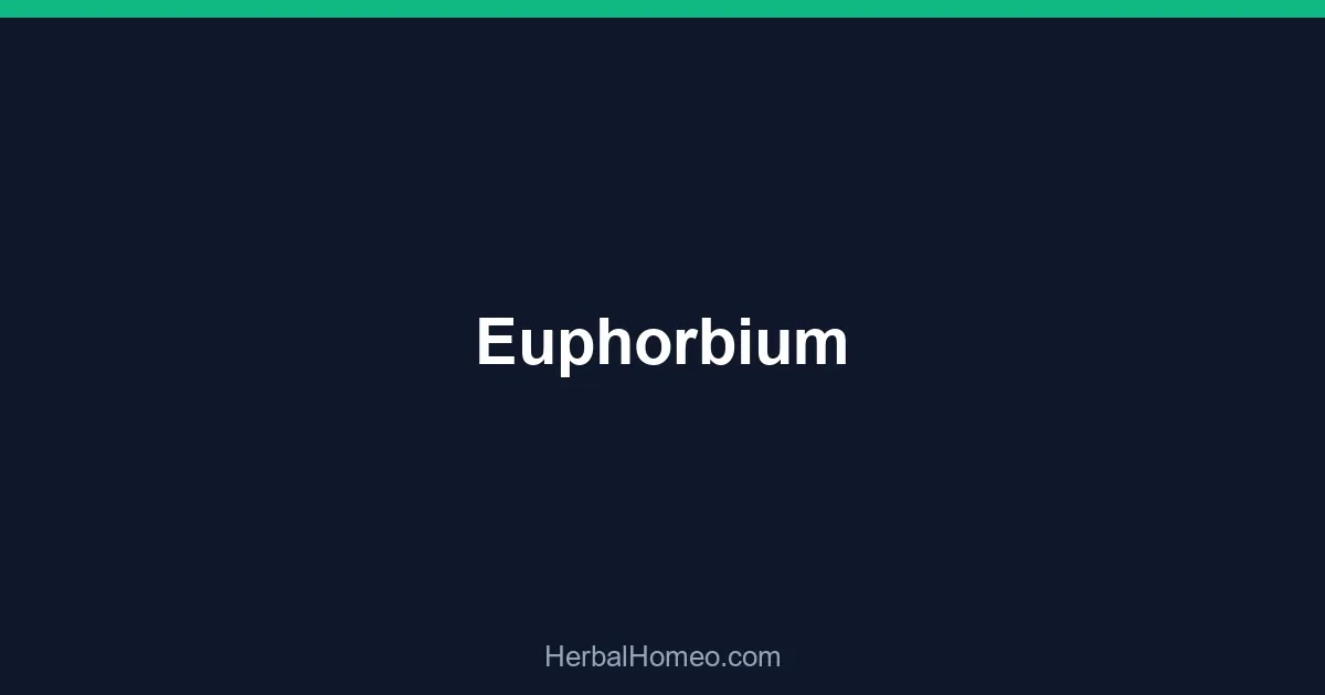 Euphorbium