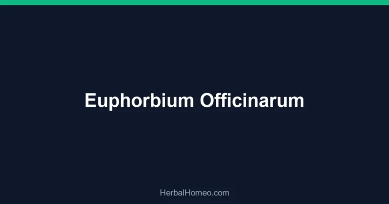 Euphorbium Officinarum