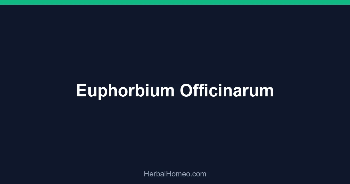 Euphorbium Officinarum