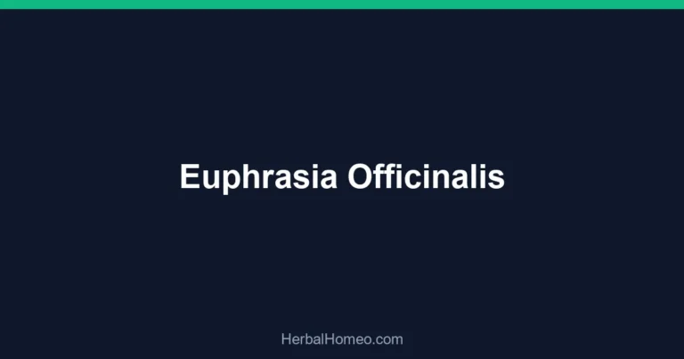 Euphrasia Officinalis
