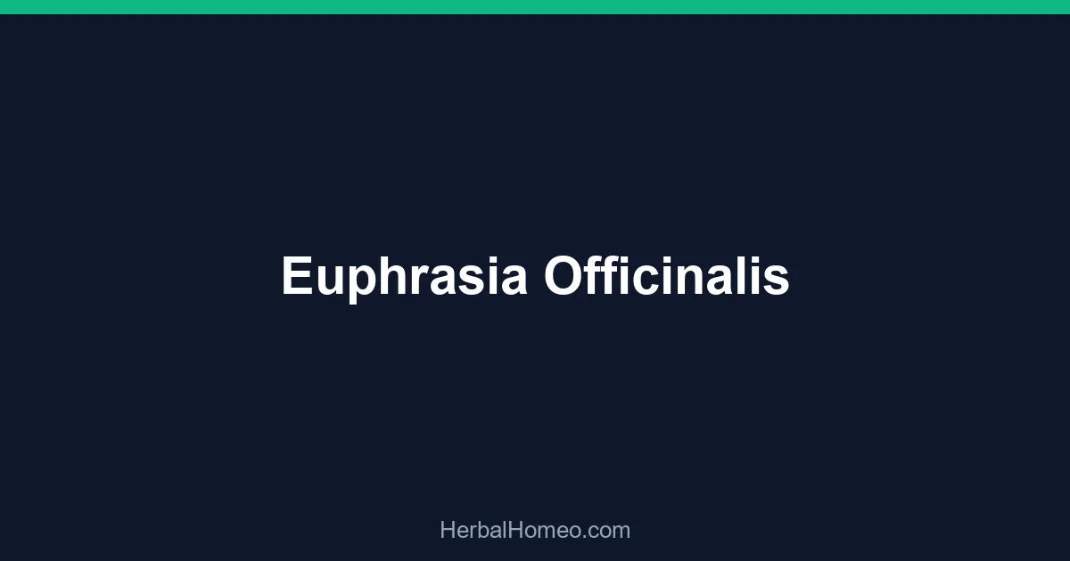 Euphrasia Officinalis