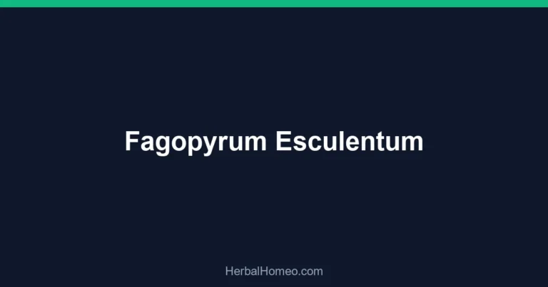Fagopyrum Esculentum