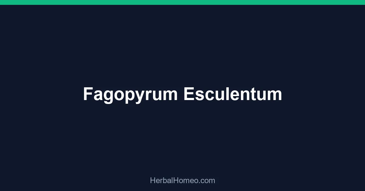 Fagopyrum Esculentum