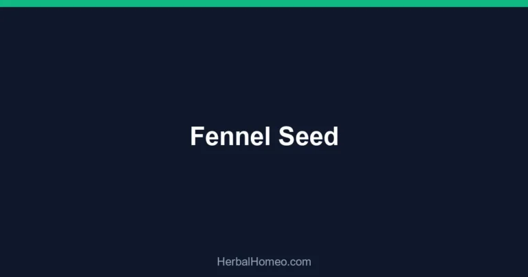 Fennel Seed