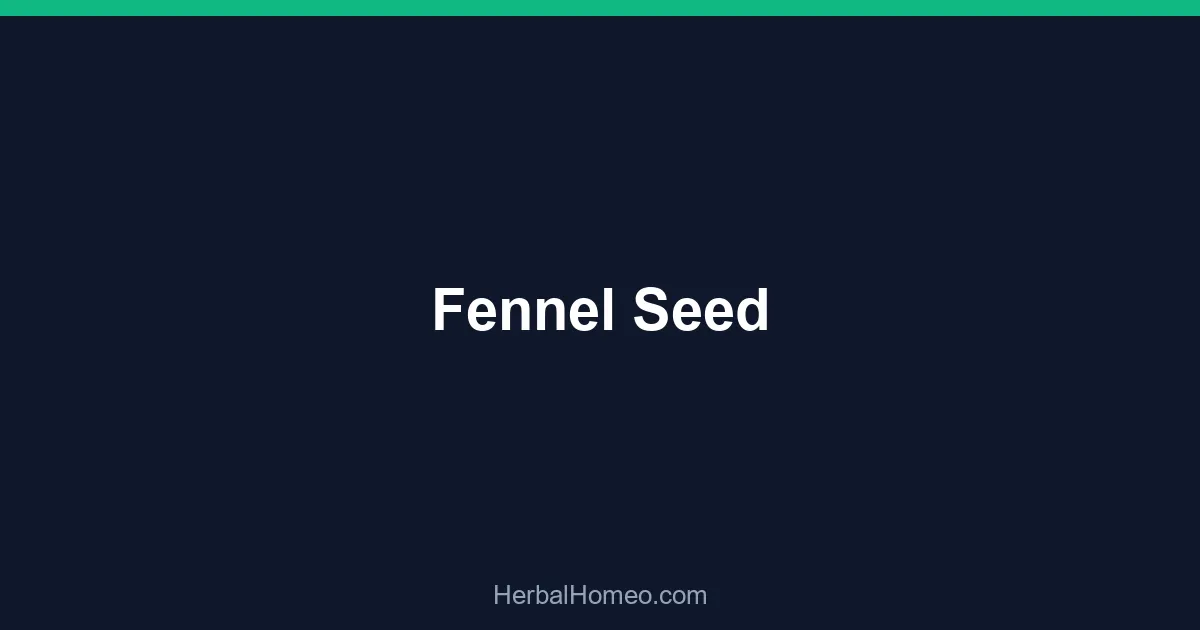 Fennel Seed