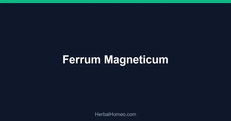 Ferrum Magneticum
