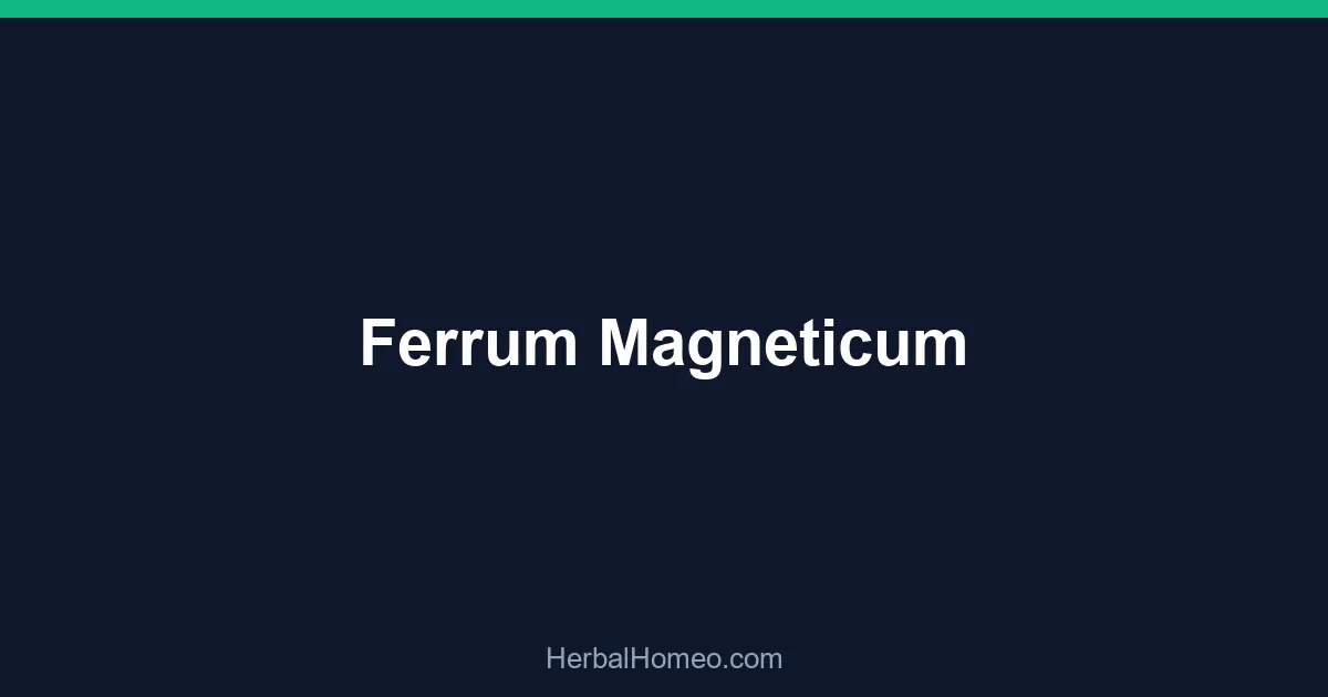 Ferrum Magneticum