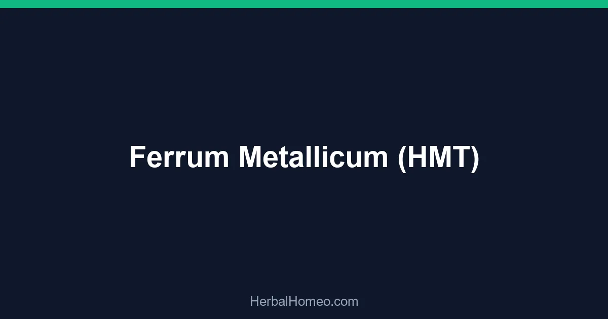 Ferrum Metallicum (HMT)