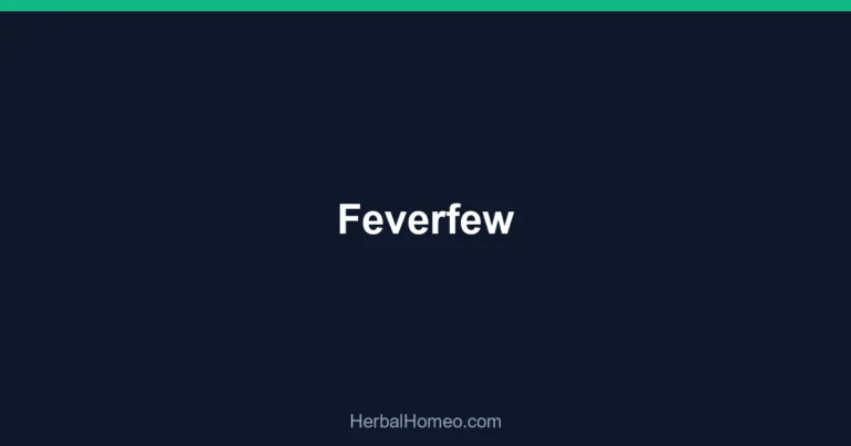 Feverfew