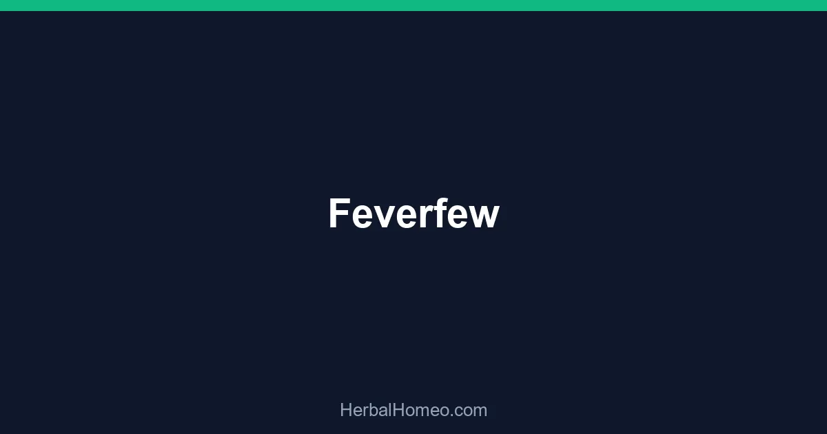 Feverfew