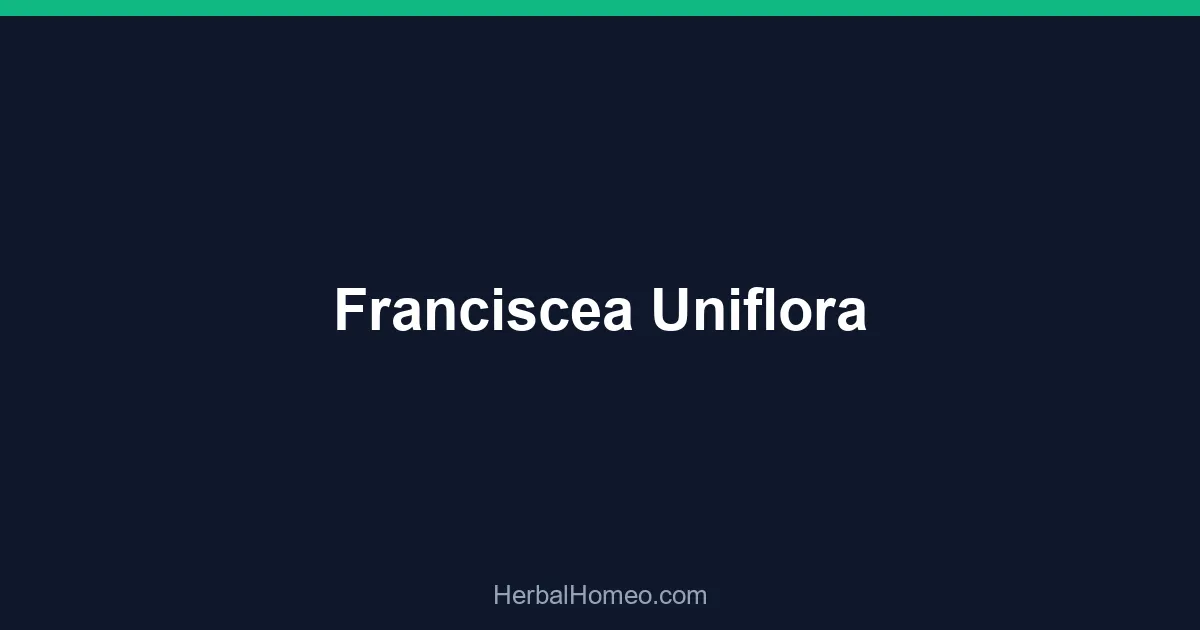 Franciscea Uniflora