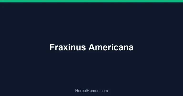 Fraxinus Americana