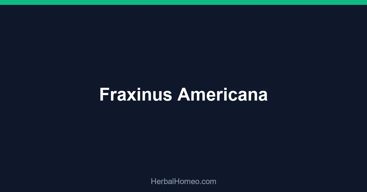 Fraxinus Americana