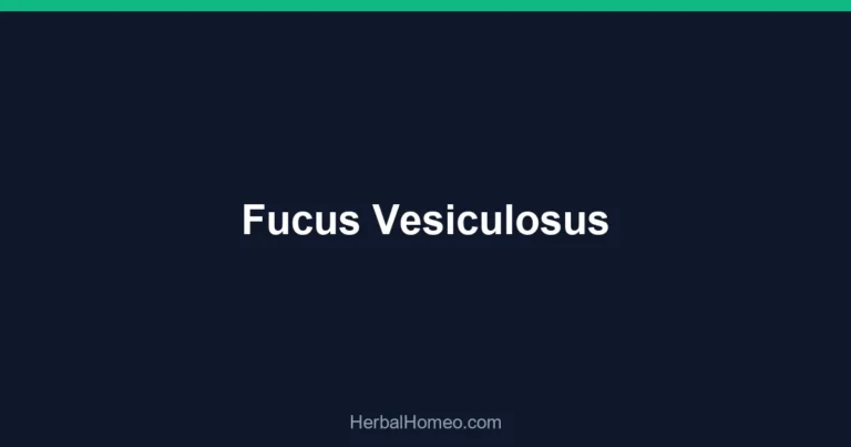Fucus Vesiculosus