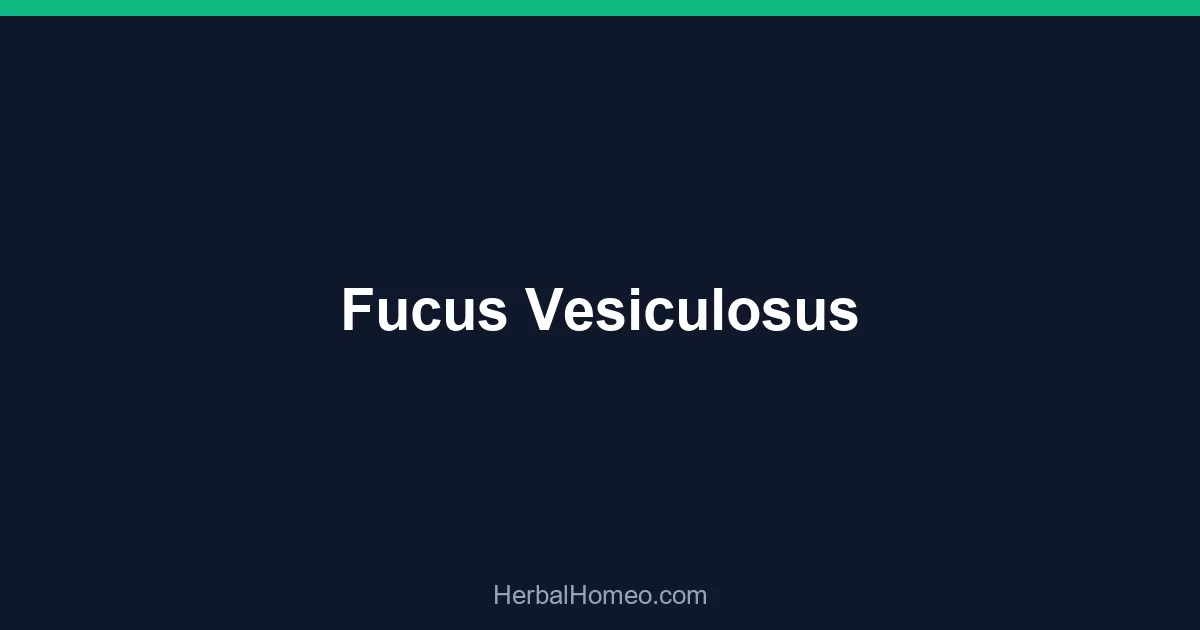 Fucus Vesiculosus