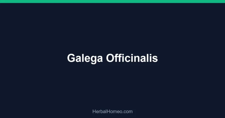Galega Officinalis