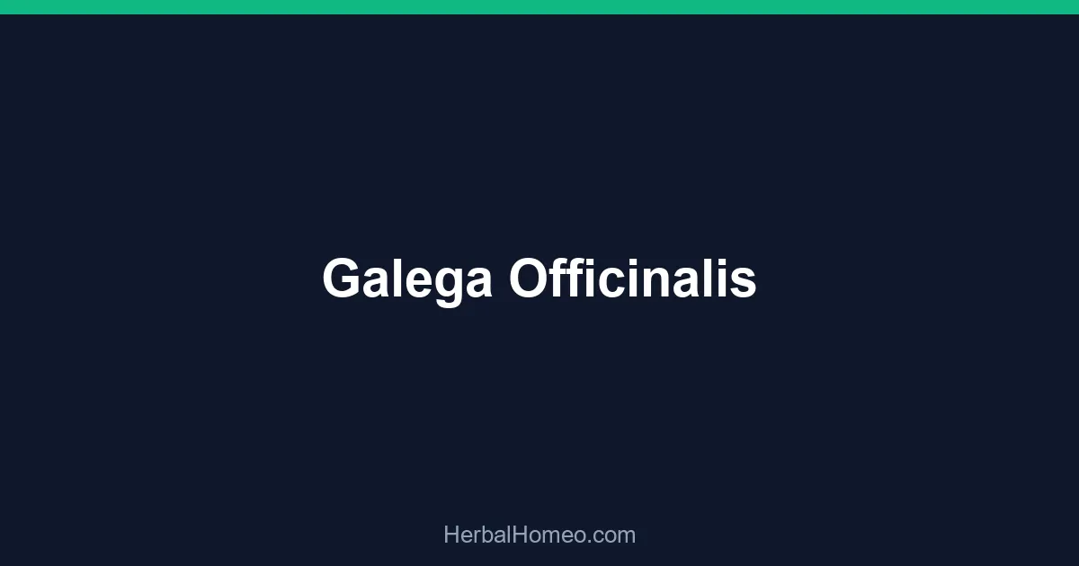 Galega Officinalis