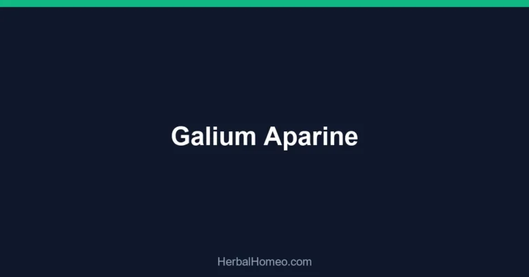 Galium Aparine