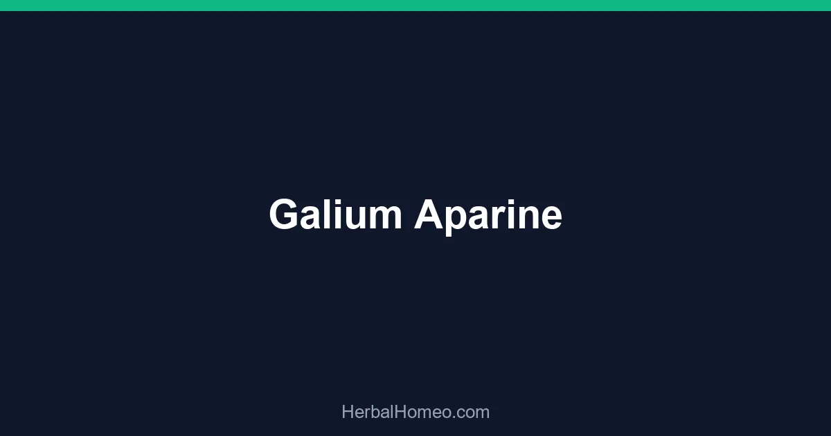 Galium Aparine
