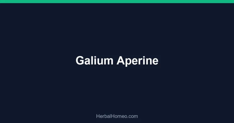 Galium Aperine