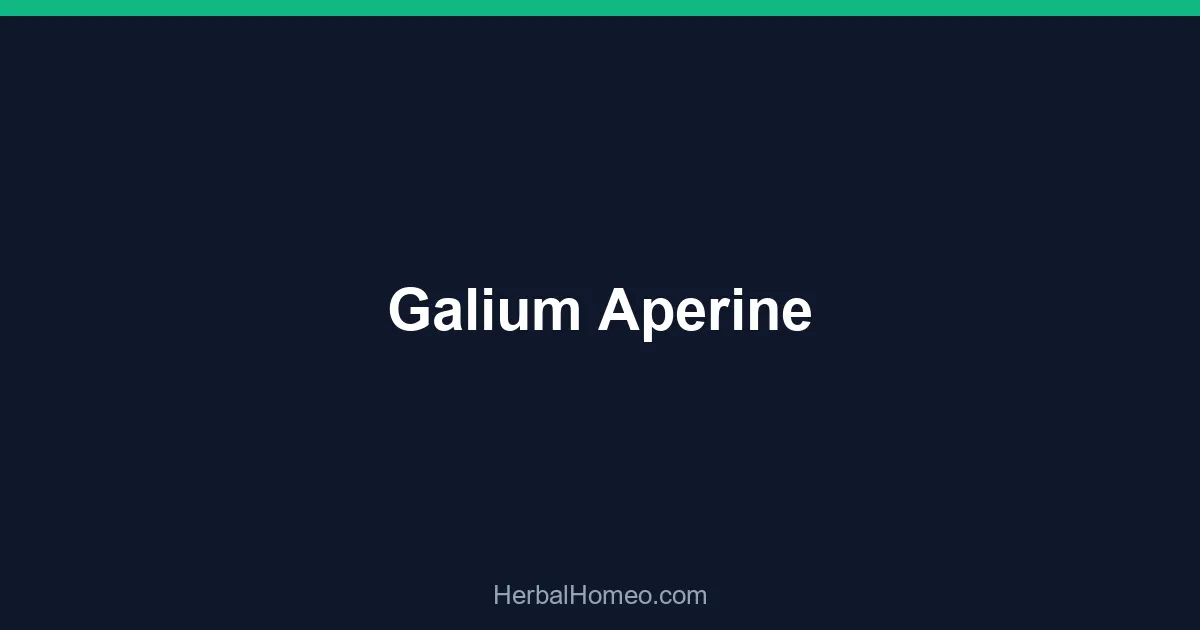Galium Aperine