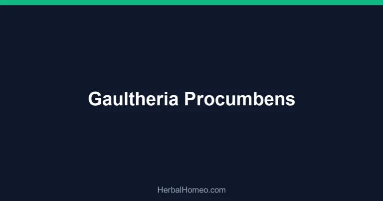 Gaultheria Procumbens