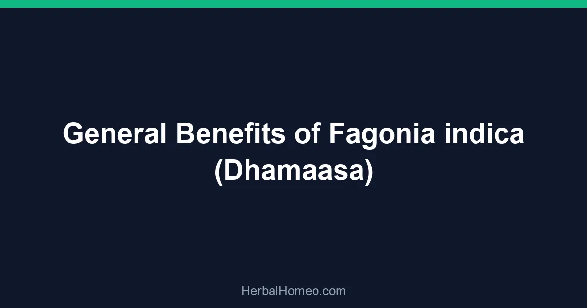 General Benefits of Fagonia indica (Dhamaasa)