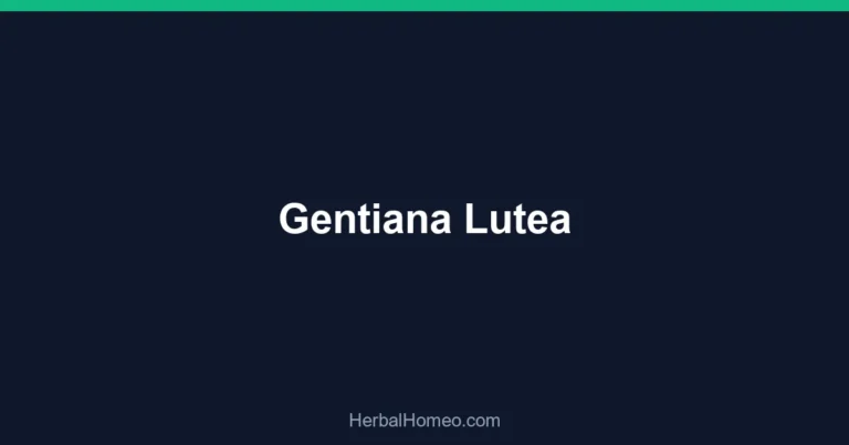 Gentiana Lutea