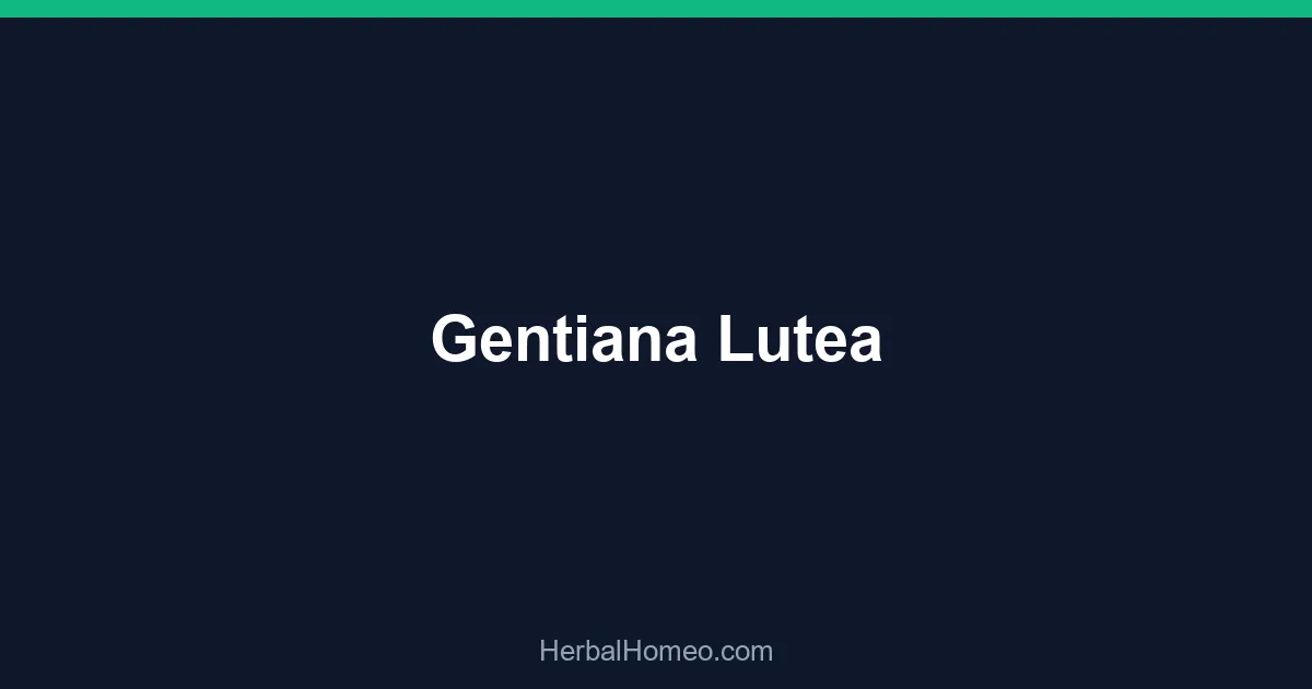 Gentiana Lutea