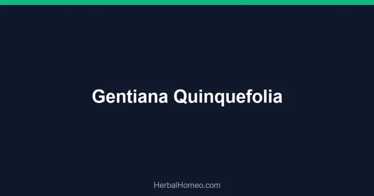 Gentiana Quinquefolia