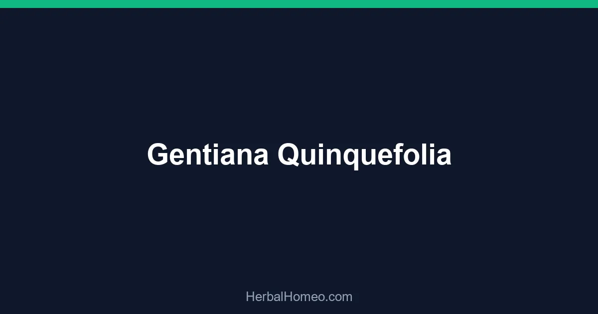 Gentiana Quinquefolia