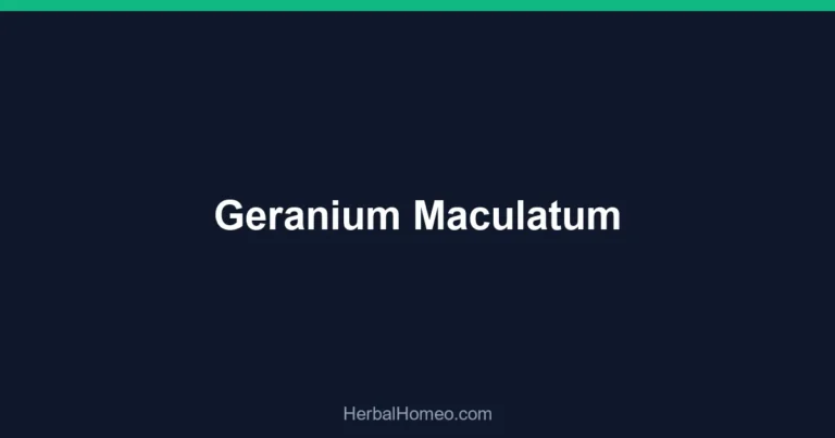Geranium Maculatum
