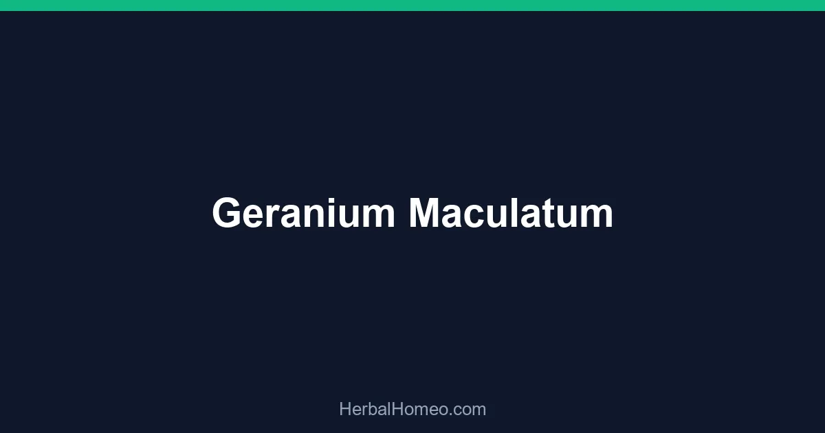 Geranium Maculatum