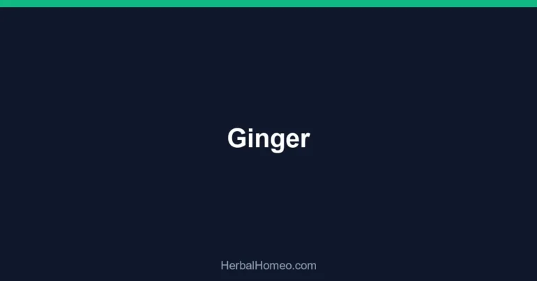 Ginger