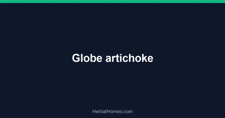 Globe artichoke