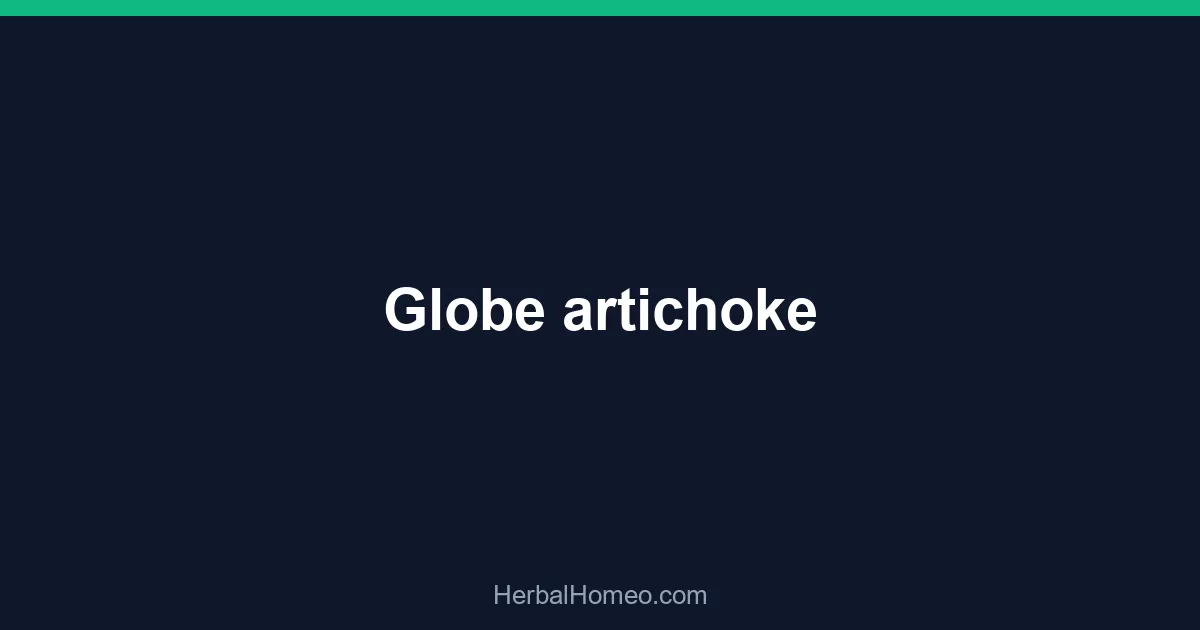Globe artichoke