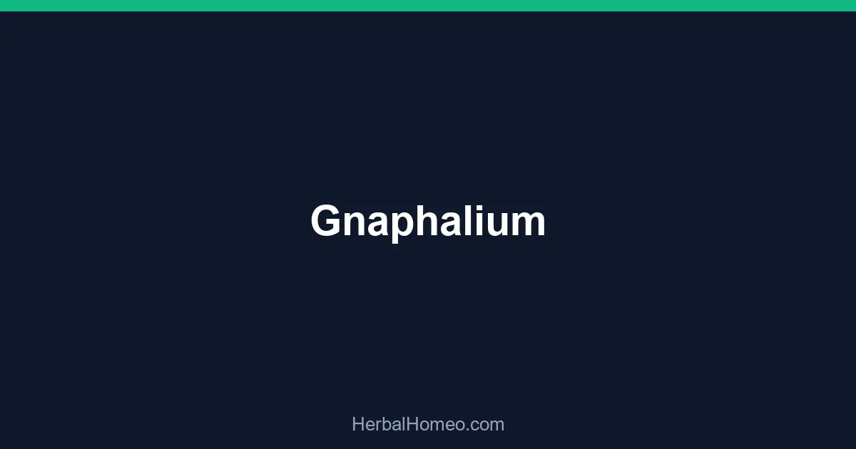 Gnaphalium