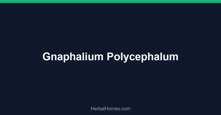Gnaphalium Polycephalum