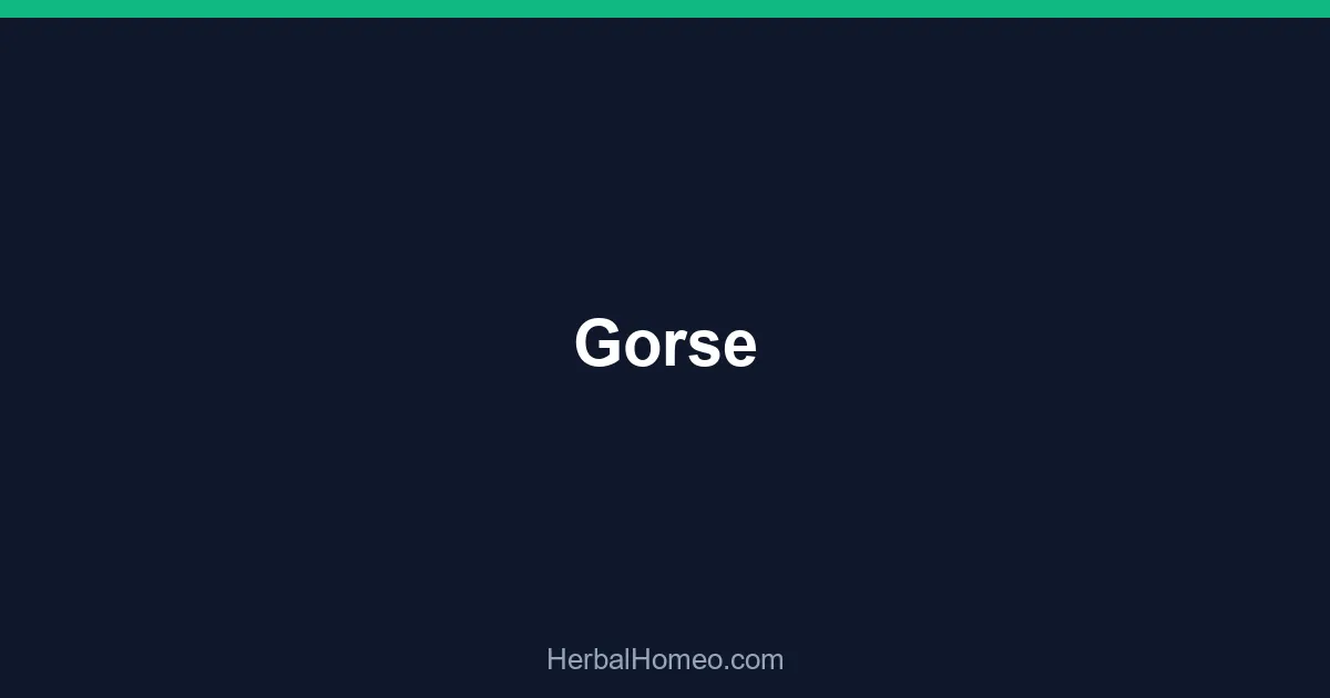 Gorse