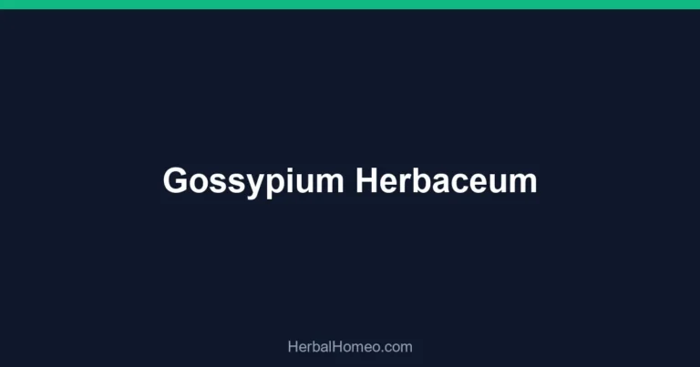 Gossypium Herbaceum