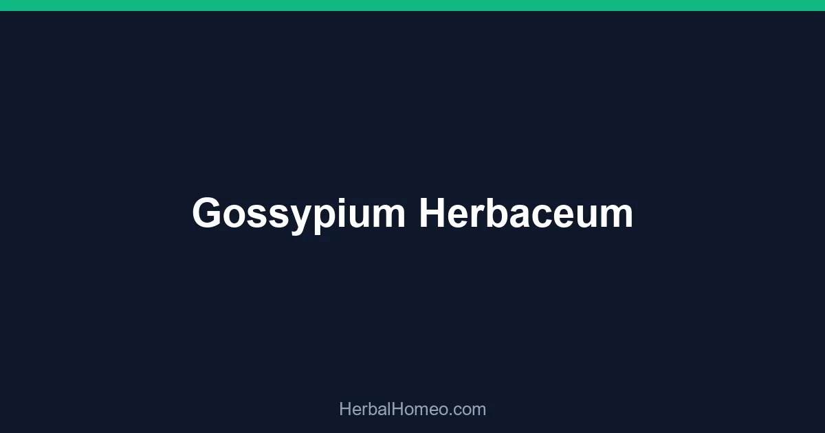 Gossypium Herbaceum