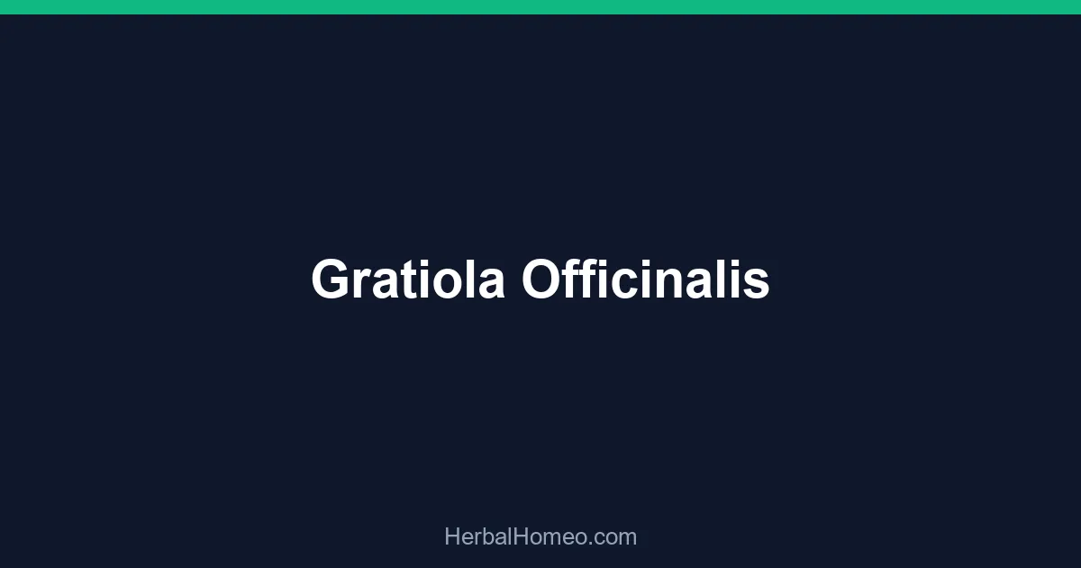 Gratiola Officinalis