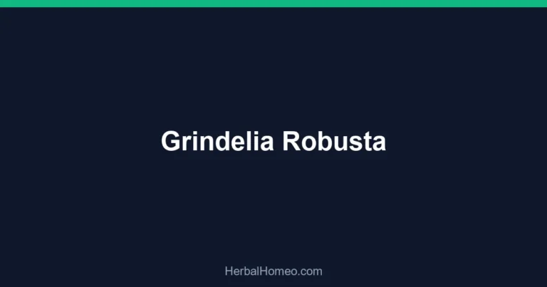 Grindelia Robusta