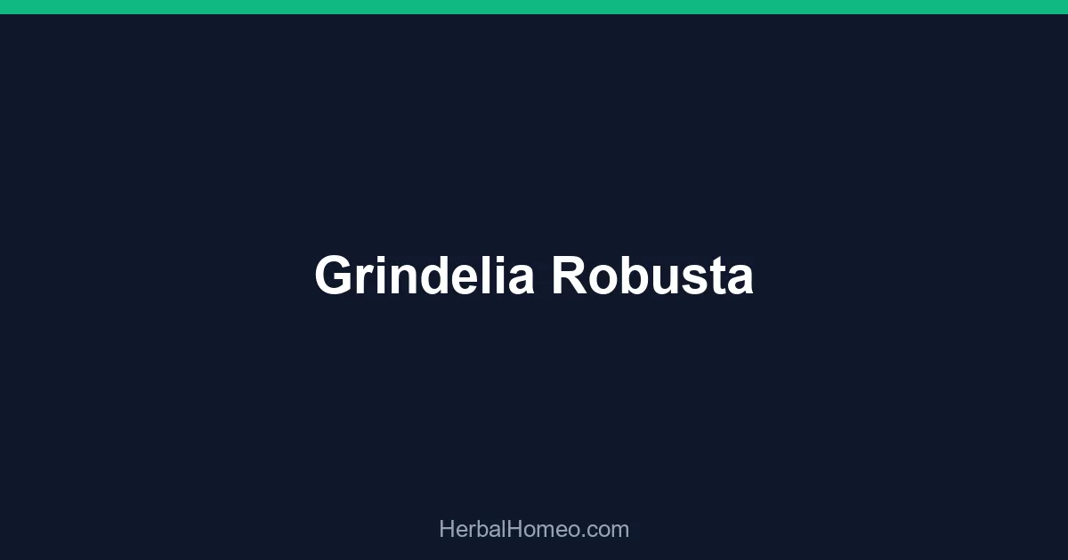 Grindelia Robusta
