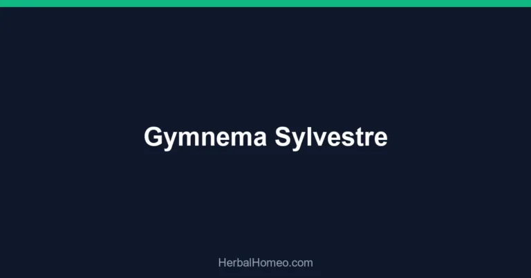 Gymnema Sylvestre