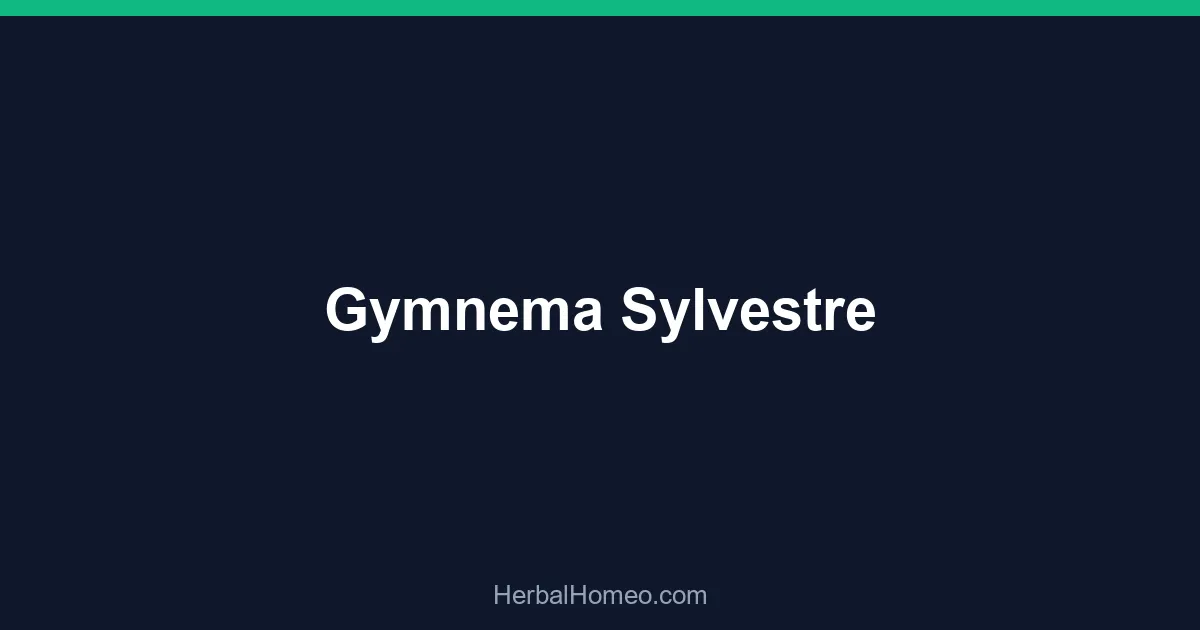 Gymnema Sylvestre